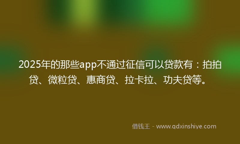2025年的那些app不通过征信可以贷款有：拍拍贷、微粒贷、惠商贷、拉卡拉、功夫贷等。