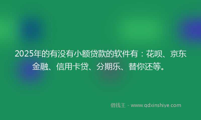 2025年的有没有小额贷款的软件有：花呗、京东金融、信用卡贷、分期乐、替你还等。