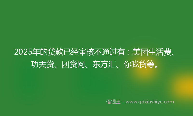 2025年的贷款已经审核不通过有：美团生活费、功夫贷、团贷网、东方汇、你我贷等。