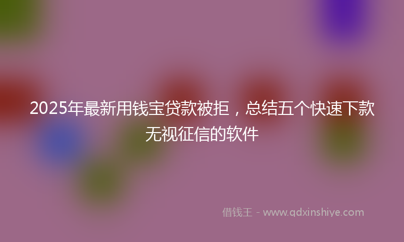 2025年最新用钱宝贷款被拒，总结五个快速下款无视征信的软件