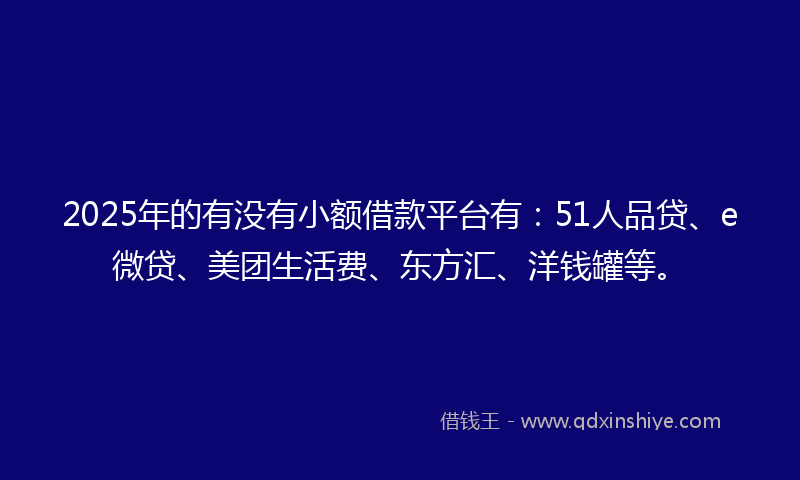 2025年的有没有小额借款平台有：51人品贷、e微贷、美团生活费、东方汇、洋钱罐等。