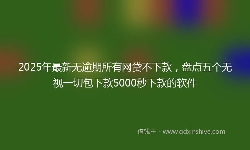2025年最新无逾期所有网贷不下款，盘点五个无视一切包下款5000秒下款的软件