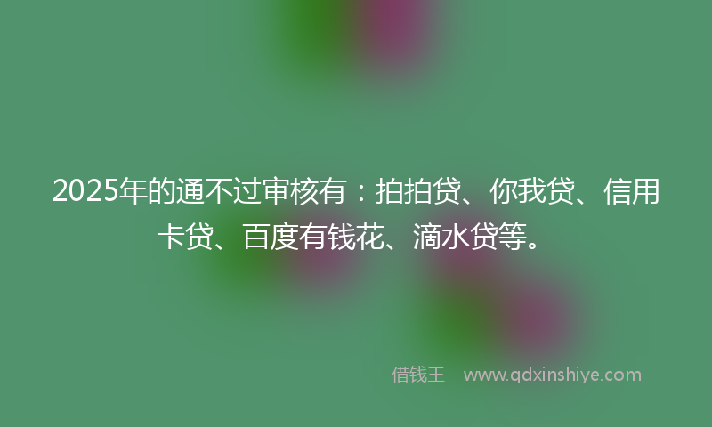 2025年的通不过审核有：拍拍贷、你我贷、信用卡贷、百度有钱花、滴水贷等。