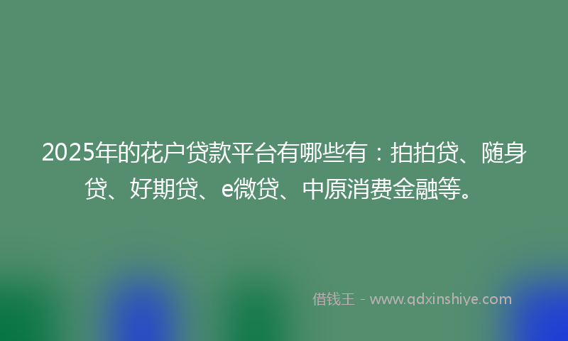2025年的花户贷款平台有哪些有：拍拍贷、随身贷、好期贷、e微贷、中原消费金融等。