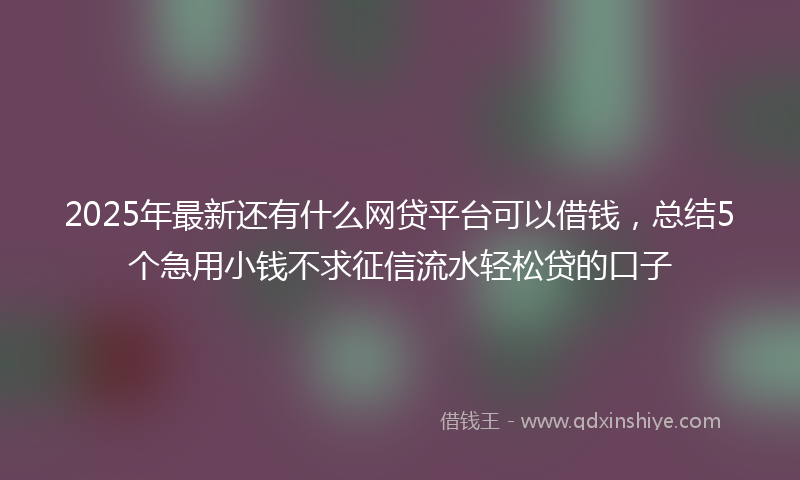 2025年最新还有什么网贷平台可以借钱，总结5个急用小钱不求征信流水轻松贷的口子