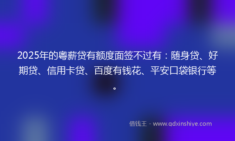 2025年的粤薪贷有额度面签不过有：随身贷、好期贷、信用卡贷、百度有钱花、平安口袋银行等。