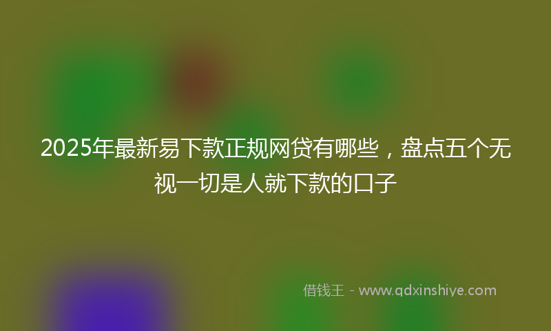 2025年最新易下款正规网贷有哪些，盘点五个无视一切是人就下款的口子