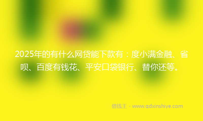 2025年的有什么网贷能下款有：度小满金融、省呗、百度有钱花、平安口袋银行、替你还等。