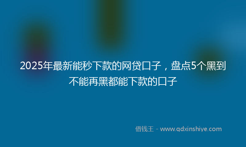 2025年最新能秒下款的网贷口子，盘点5个黑到不能再黑都能下款的口子