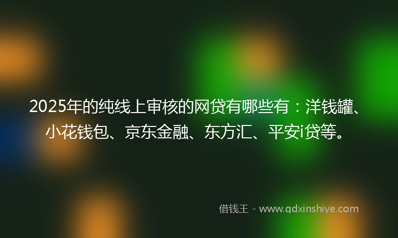 2025年的纯线上审核的网贷有哪些有：洋钱罐、小花钱包、京东金融、东方汇、平安i贷等。