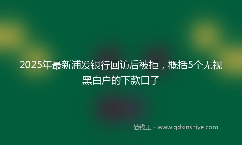 2025年最新浦发银行回访后被拒，概括5个无视黑白户的下款口子