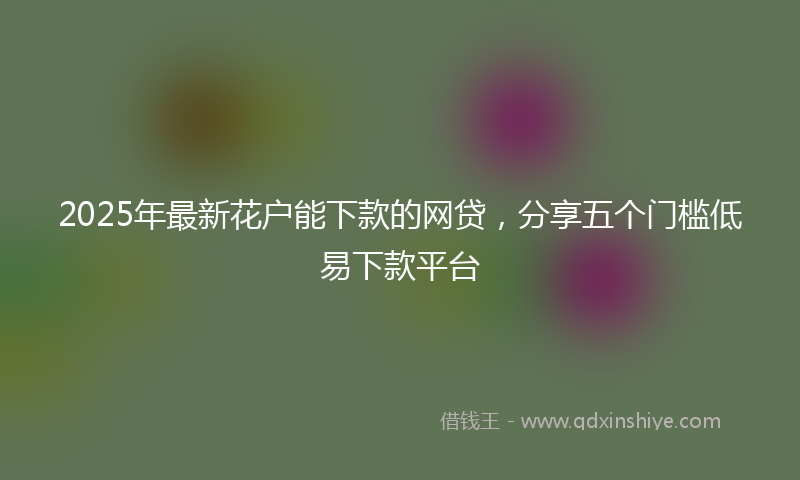 2025年最新花户能下款的网贷，分享五个门槛低易下款平台