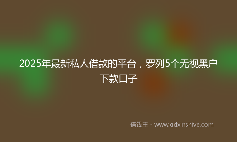 2025年最新私人借款的平台，罗列5个无视黑户下款口子