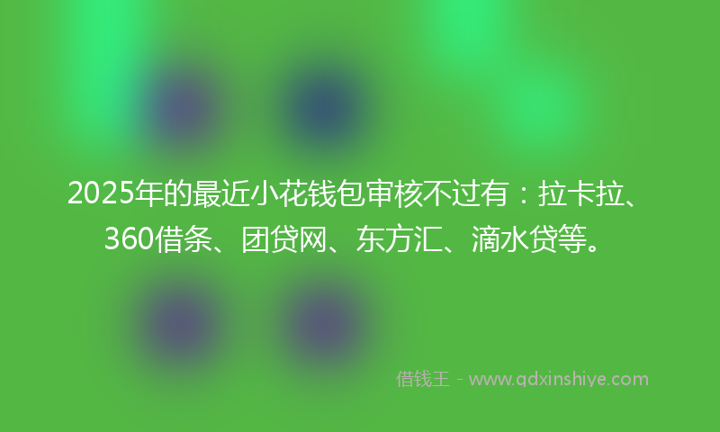 2025年的最近小花钱包审核不过有：拉卡拉、360借条、团贷网、东方汇、滴水贷等。
