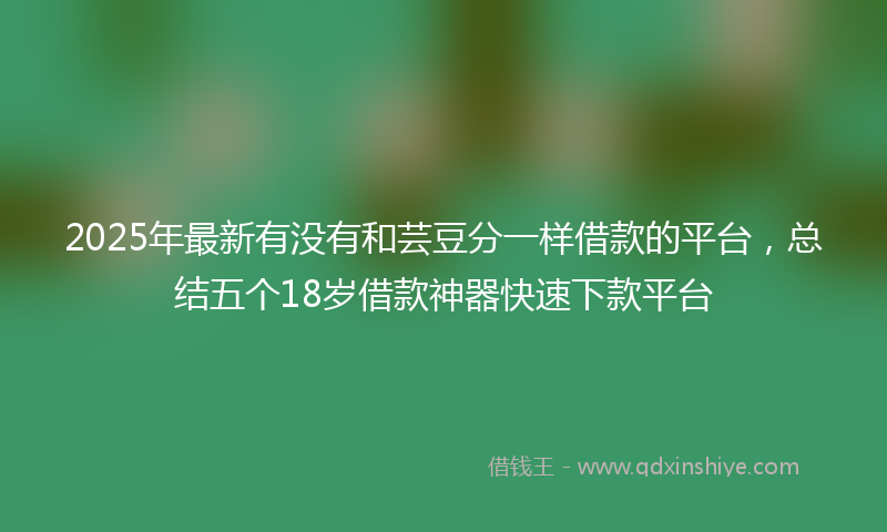 2025年最新有没有和芸豆分一样借款的平台，总结五个18岁借款神器快速下款平台