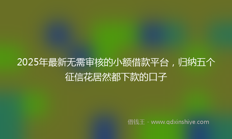 2025年最新无需审核的小额借款平台，归纳五个征信花居然都下款的口子