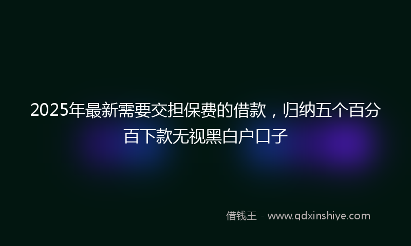 2025年最新需要交担保费的借款，归纳五个百分百下款无视黑白户口子