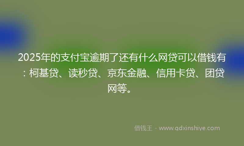 2025年的支付宝逾期了还有什么网贷可以借钱有：柯基贷、读秒贷、京东金融、信用卡贷、团贷网等。