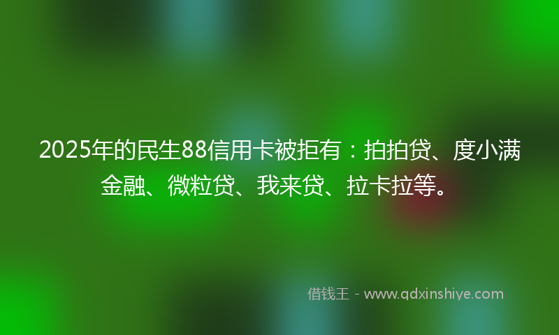 2025年的民生88信用卡被拒有：拍拍贷、度小满金融、微粒贷、我来贷、拉卡拉等。