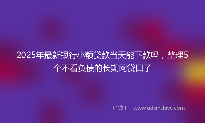 2025年最新银行小额贷款当天能下款吗，整理5个不看负债的长期网贷口子