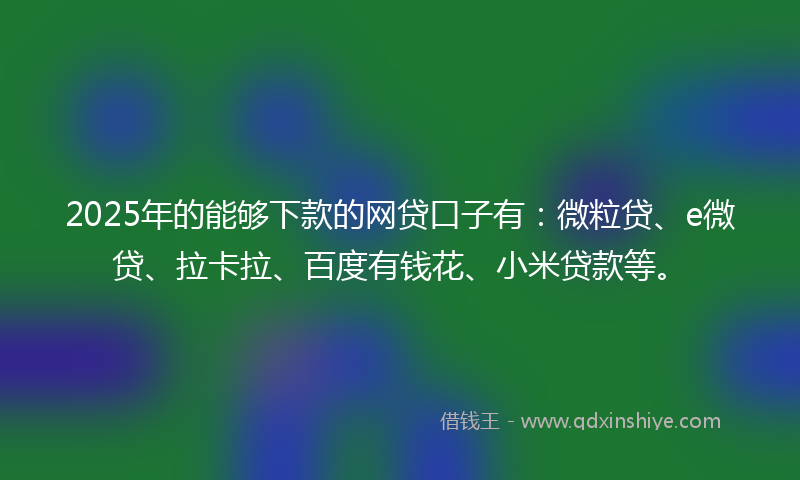 2025年的能够下款的网贷口子有：微粒贷、e微贷、拉卡拉、百度有钱花、小米贷款等。