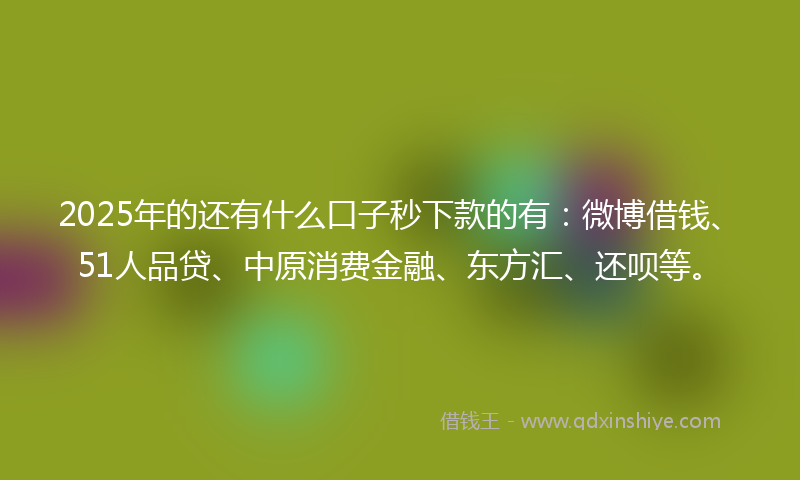 2025年的还有什么口子秒下款的有：微博借钱、51人品贷、中原消费金融、东方汇、还呗等。