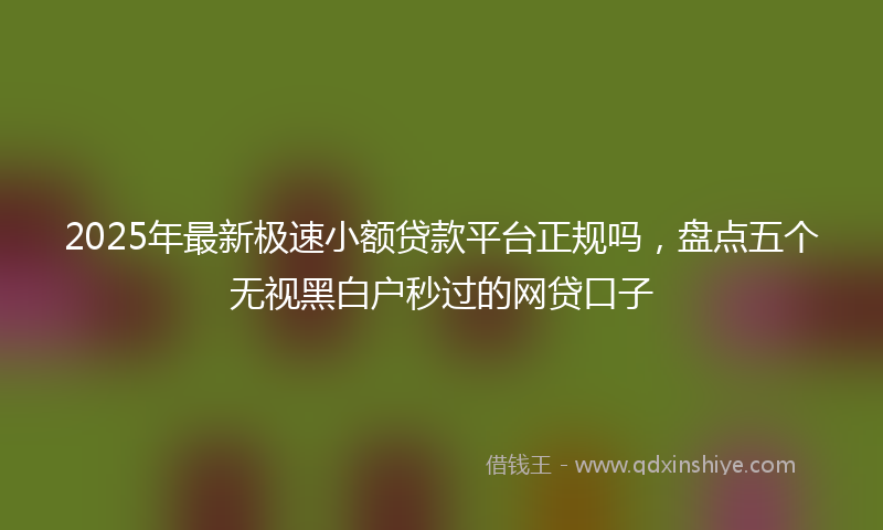 2025年最新极速小额贷款平台正规吗，盘点五个无视黑白户秒过的网贷口子