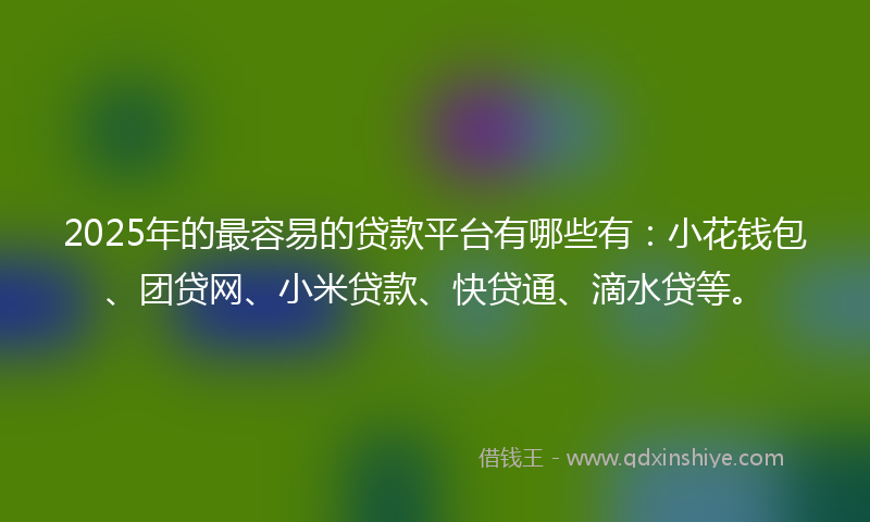 2025年的最容易的贷款平台有哪些有：小花钱包、团贷网、小米贷款、快贷通、滴水贷等。