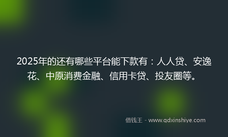 2025年的还有哪些平台能下款有：人人贷、安逸花、中原消费金融、信用卡贷、投友圈等。