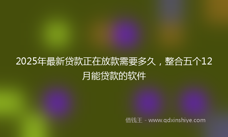 2025年最新贷款正在放款需要多久，整合五个12月能贷款的软件