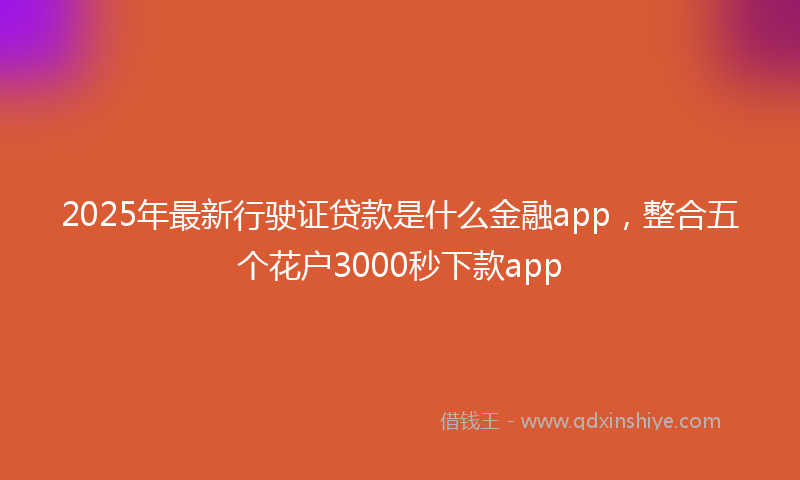 2025年最新行驶证贷款是什么金融app，整合五个花户3000秒下款app
