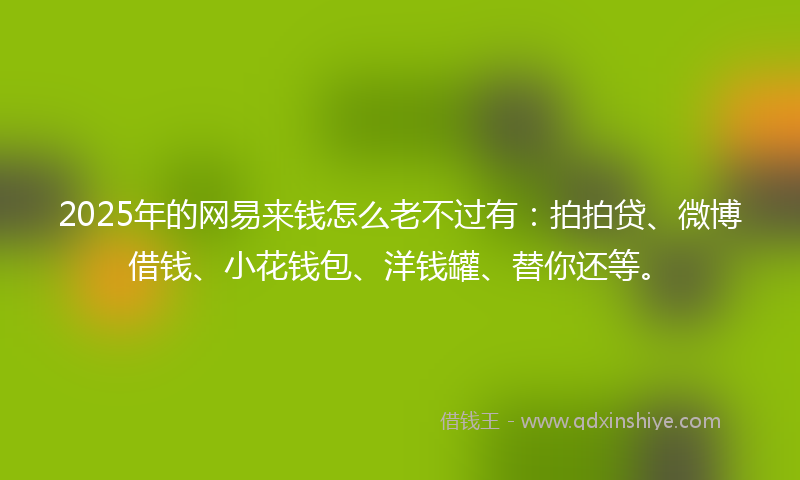 2025年的网易来钱怎么老不过有：拍拍贷、微博借钱、小花钱包、洋钱罐、替你还等。