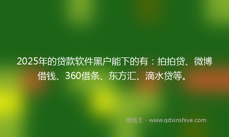 2025年的贷款软件黑户能下的有：拍拍贷、微博借钱、360借条、东方汇、滴水贷等。