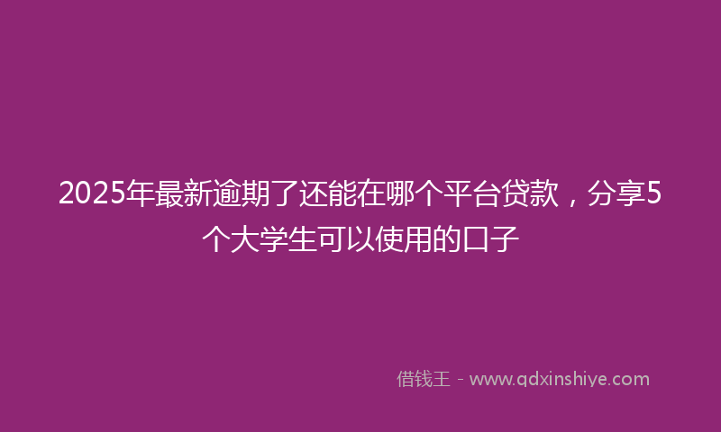 2025年最新逾期了还能在哪个平台贷款，分享5个大学生可以使用的口子
