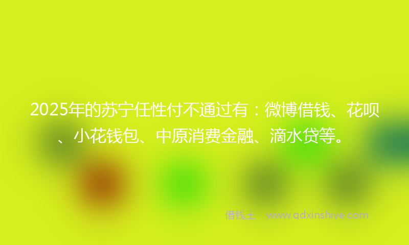 2025年的苏宁任性付不通过有：微博借钱、花呗、小花钱包、中原消费金融、滴水贷等。