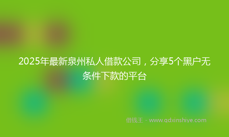 2025年最新泉州私人借款公司，分享5个黑户无条件下款的平台
