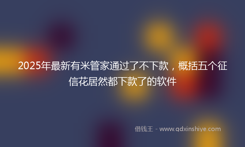 2025年最新有米管家通过了不下款，概括五个征信花居然都下款了的软件