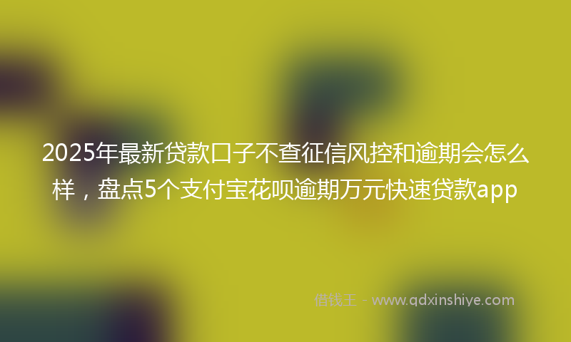 2025年最新贷款口子不查征信风控和逾期会怎么样，盘点5个支付宝花呗逾期万元快速贷款app