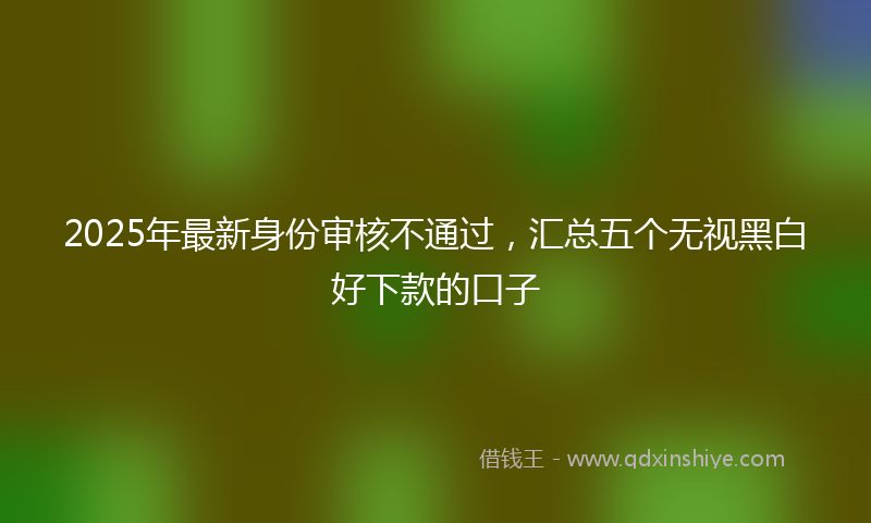 2025年最新身份审核不通过，汇总五个无视黑白好下款的口子