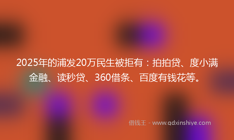 2025年的浦发20万民生被拒有：拍拍贷、度小满金融、读秒贷、360借条、百度有钱花等。