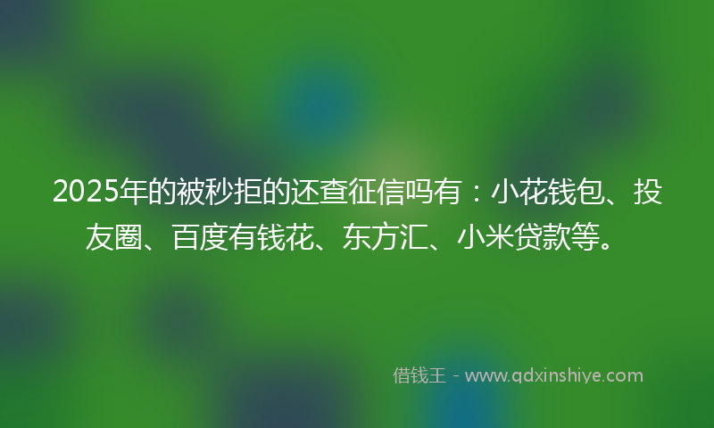 2025年的被秒拒的还查征信吗有：小花钱包、投友圈、百度有钱花、东方汇、小米贷款等。