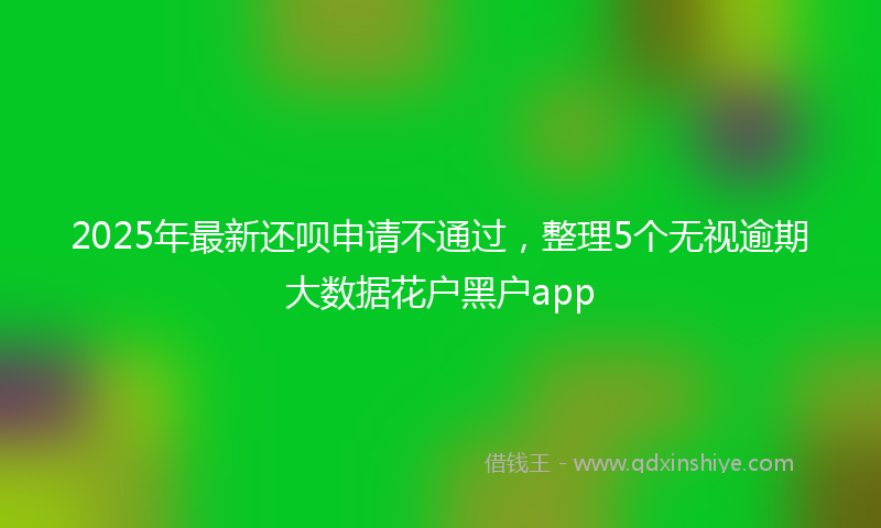 2025年最新还呗申请不通过，整理5个无视逾期大数据花户黑户app
