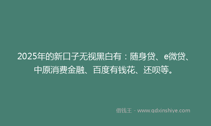 2025年的新口子无视黑白有：随身贷、e微贷、中原消费金融、百度有钱花、还呗等。