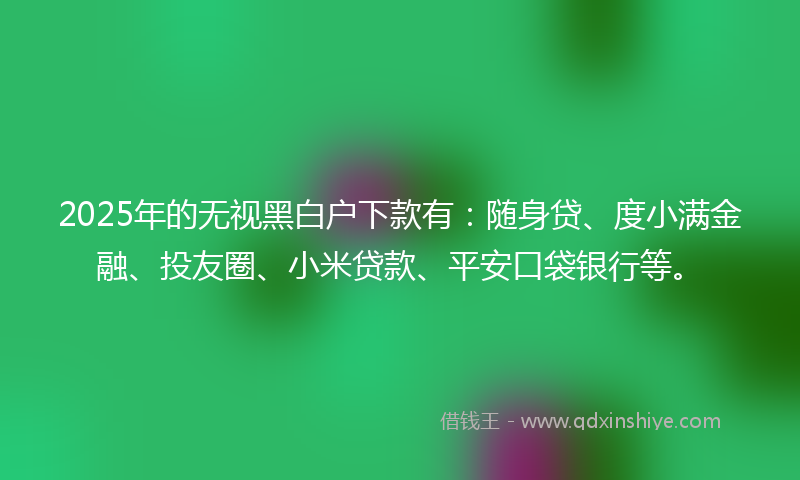 2025年的无视黑白户下款有：随身贷、度小满金融、投友圈、小米贷款、平安口袋银行等。