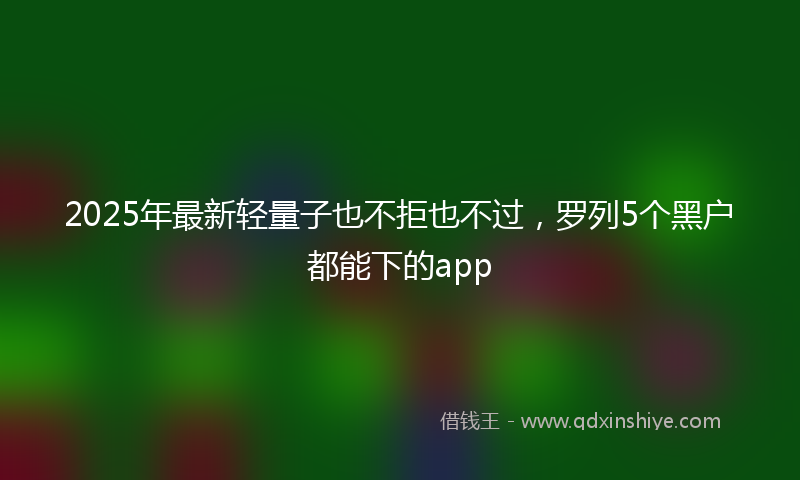 2025年最新轻量子也不拒也不过，罗列5个黑户都能下的app