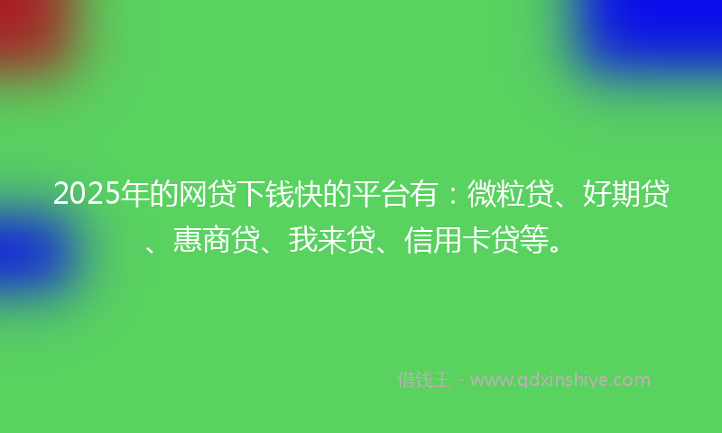 2025年的网贷下钱快的平台有：微粒贷、好期贷、惠商贷、我来贷、信用卡贷等。