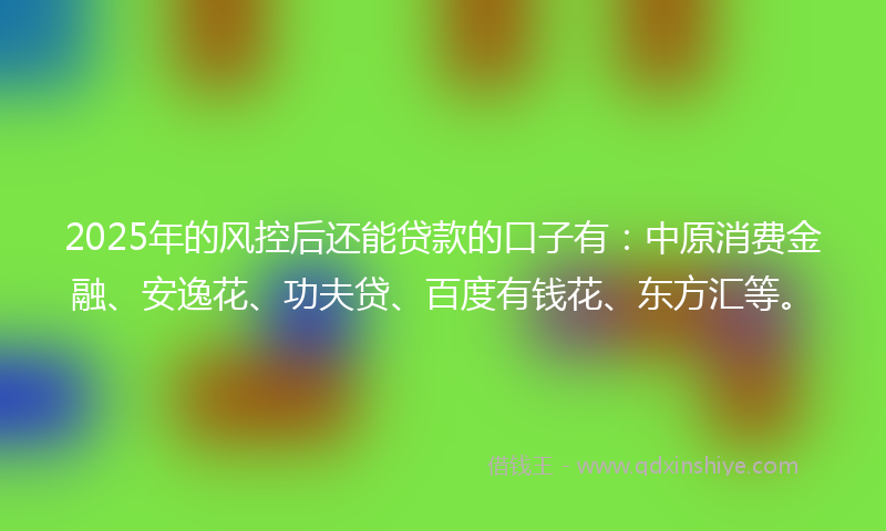 2025年的风控后还能贷款的口子有：中原消费金融、安逸花、功夫贷、百度有钱花、东方汇等。