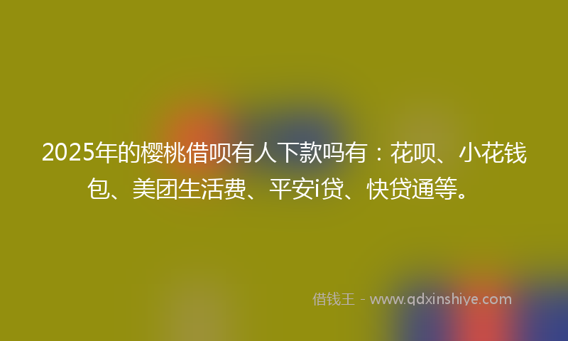 2025年的樱桃借呗有人下款吗有：花呗、小花钱包、美团生活费、平安i贷、快贷通等。