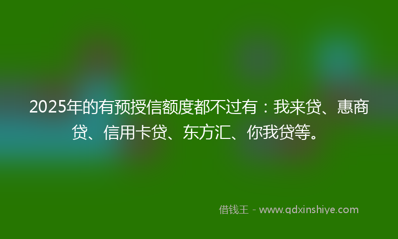 2025年的有预授信额度都不过有：我来贷、惠商贷、信用卡贷、东方汇、你我贷等。