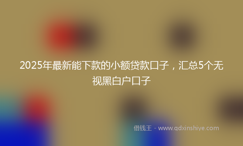 2025年最新能下款的小额贷款口子，汇总5个无视黑白户口子